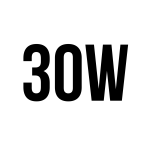 Fast Charger 30W
